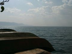 -才村湿地公园