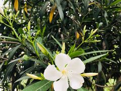 -南京工程学院(江宁校区)