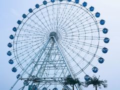 -秦皇岛乐岛海洋王国