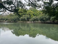 -荔枝公园(福田区)
