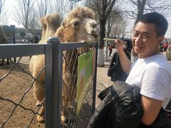 -长白岛森林公园