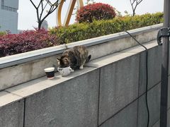 -UNI UNI(环亚凯瑟琳店)