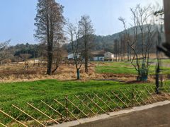 -东钱湖旅游度假区