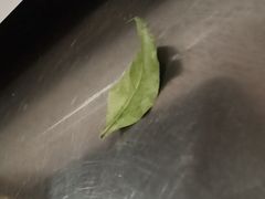 -文杏酒楼(一品天下店)