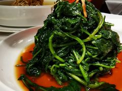 南京菊花脑-民国红公馆·秦淮八艳(夫子庙店)
