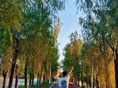 -艾溪湖湿地公园