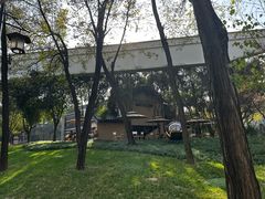 -西安曲江寒窑遗址公园