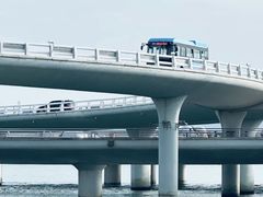 -演武大桥观景平台