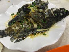 清蒸石斑鱼-覃记海鲜美食餐厅