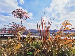 -曼乐辰餐厅(中庚漫游城店)