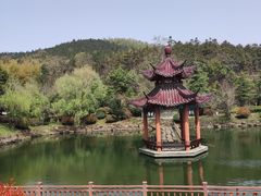 -冶父山国家森林公园