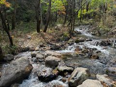 -玉渡山自然风景区