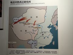 -张掖市博物馆