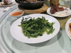 -老广酒楼(樱花店)