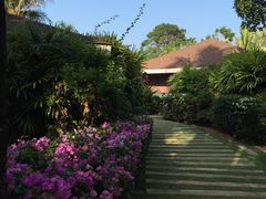 -椰树岛海滩度假村