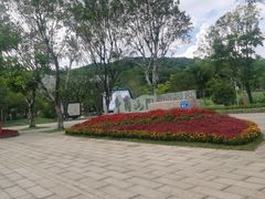 -牛岗山公园