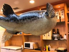 -天正河鲀·河豚亭(大连店)