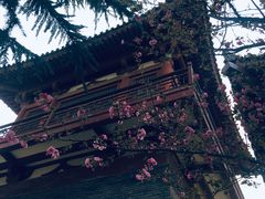 -西安青龙寺遗址景区