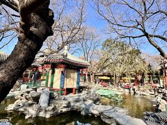 -白家大院·王府宫廷菜(苏州街店)