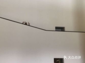 「苏州景点打卡」御窑金砖博物馆攻略