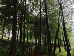 -西溪国家湿地公园