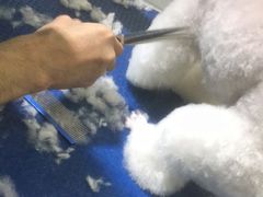 -佳雯宠物医院(金华南路分院)