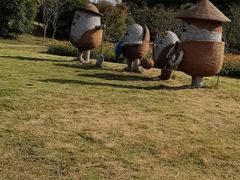 -苏州上方山国家森林公园