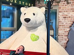 -济州岛泰迪熊博物馆