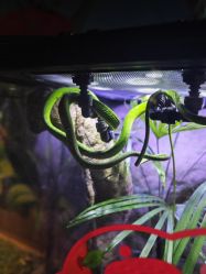 -酷嗒动物文化乐园(cutezoo西溪乐天城店)