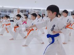 -极真空手道修远道场