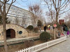 -南宫五洲植物乐园