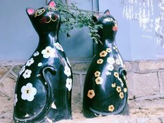 -猫咪博物馆(顶澳仔猫街店)