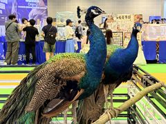 -南宁国际会展中心