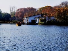 -上海共青森林公园