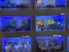 -映像威海·威海宴(威高广场店)