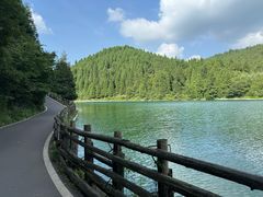-武陵山森林公园
