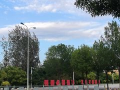 -泰达航母主题公园