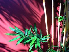 -四季酒店下午茶