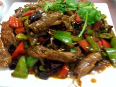 佳烁特色皮皮虾-烁佳海鲜大馅饺子