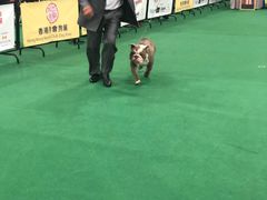 -香港会议展览中心演讲厅