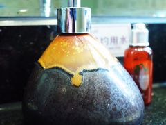 -九华山聚龙大酒店