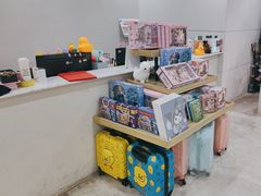 -舞蕾舞蹈(特长生校区)