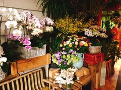 -春暖花开(西溪店)