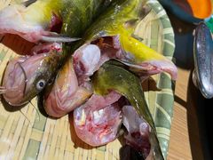 -铭记蛙小仙·活蛙畅享(CBD万达广场店)