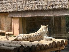 -郑州银基国际旅游度假区