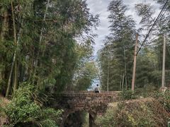 -仙霞关景区