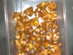 -采芝斋评弹茶馆(观前街店)