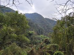 -南山植物园