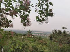 -北京西山国家森林公园