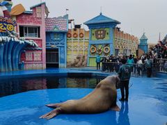 -华夏文旅海洋公园